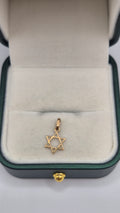 9ct gold star of David charm