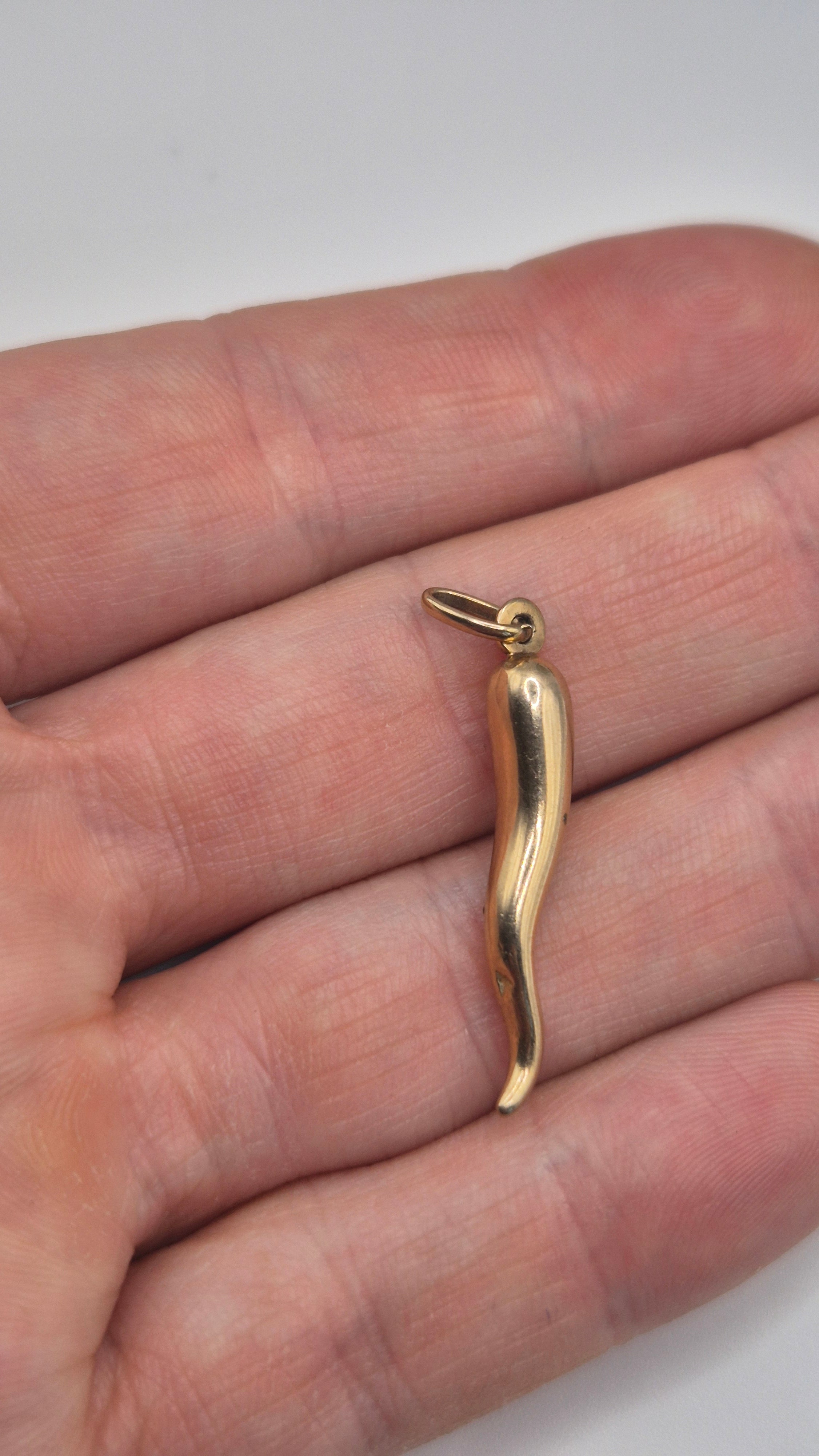 9ct gold horn of plenty